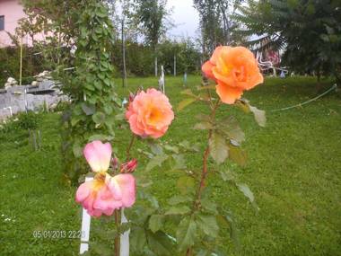 Pension Cote D'Amour