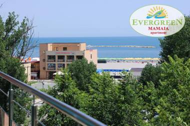 Evergreen Vlas Mamaia Sud