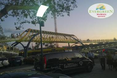 Evergreen Vlas Mamaia Sud