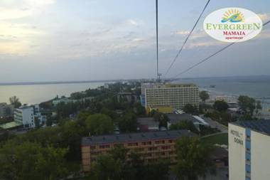 Evergreen Vlas Mamaia Sud