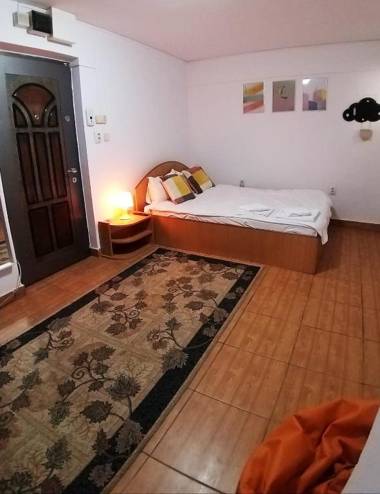 Ultracentral Lozonschi Apartament Parter