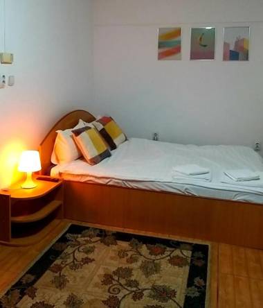 Ultracentral Lozonschi Apartament Parter