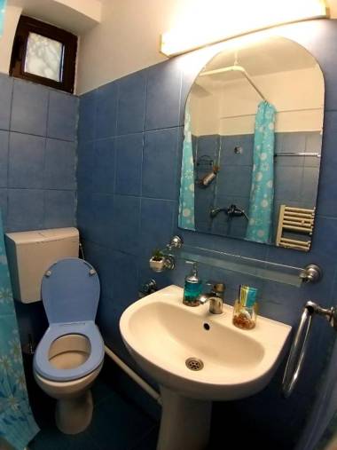 Ultracentral Lozonschi Apartament Parter