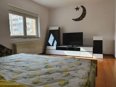 Apartament Dacul