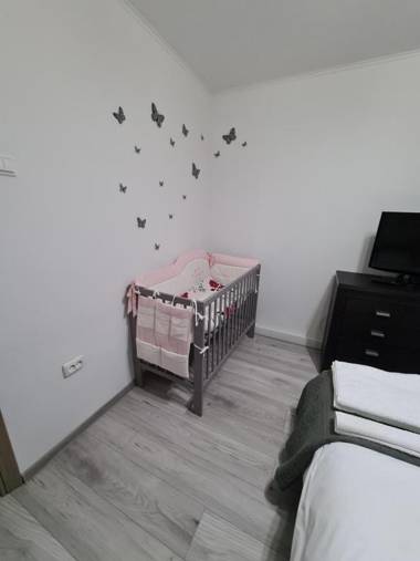 Apartament ultra central 1
