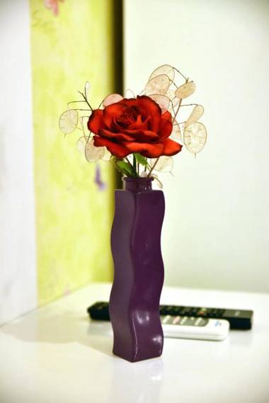 Pensiunea Vila Silva I