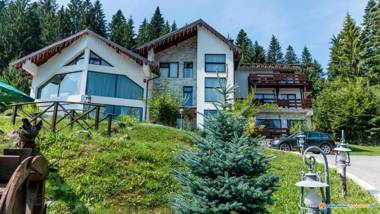 Pension Perla Bucovinei