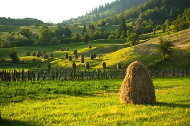 Pension Pîrîu' Morii