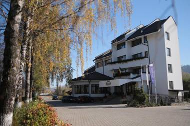 Pensiunea Casa Doamnei Voronet