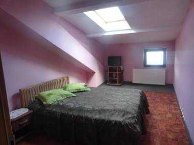 Pensiunea Mikelis International