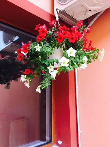 Orange House Constanta