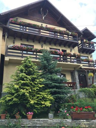 Pension Casa Ali & Andu