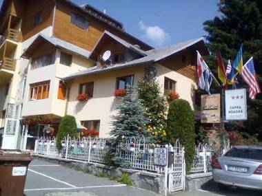 PENSIUNEA CAPRA NEAGRĂ