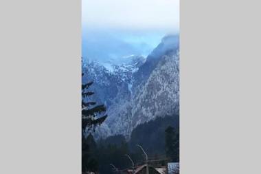 APARTAMENT ALESSI BUȘTENI