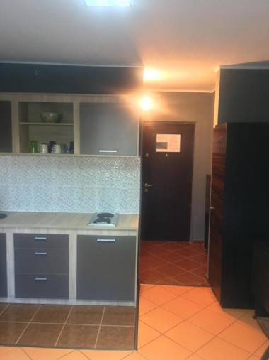 Lions Studio Dristor