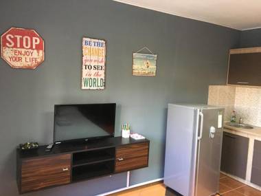 Lions Studio Dristor