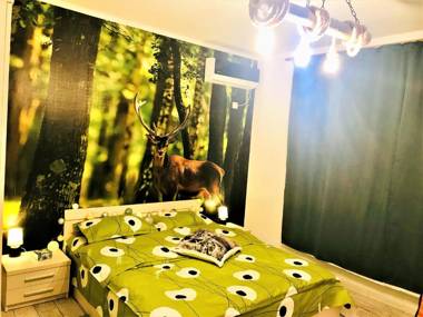 NATURE ESCAPE STUDIO