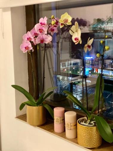 Bucharest Central Studio Mall Vitan