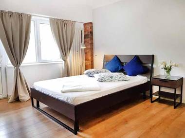 Piata Victoriei Kiseleff Studio Apartment