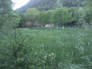 Pensiunea Irina 1 si 2 Zarnesti 1993-2006