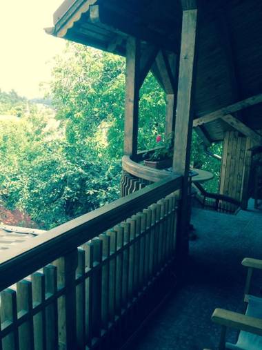 Pension Brasovu Vechi