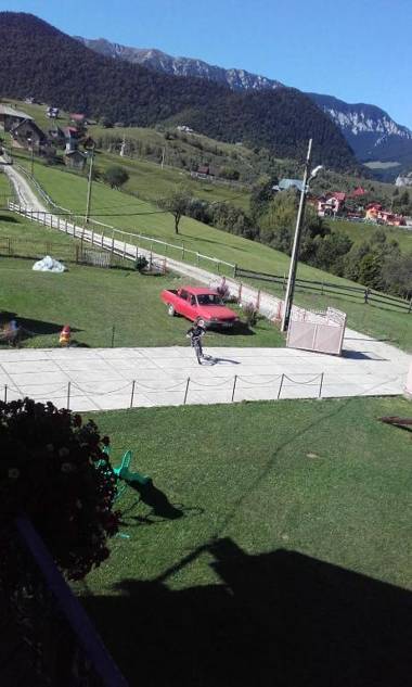 Garofita Pietrei Craiului