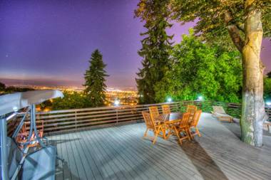 Splendor in the forest