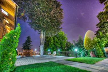 Splendor in the forest