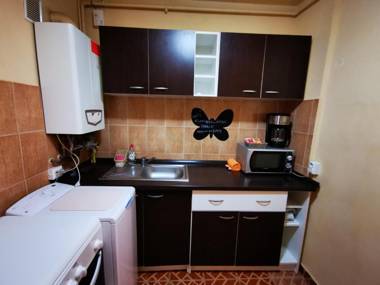 Garsoniera Flamingo Garii 4