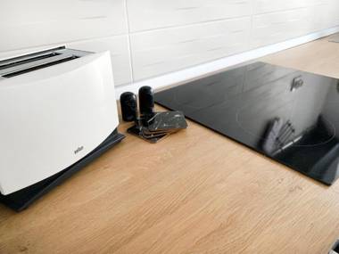 MHC Quiet Deluxe Suite near Downtown - Free Parking