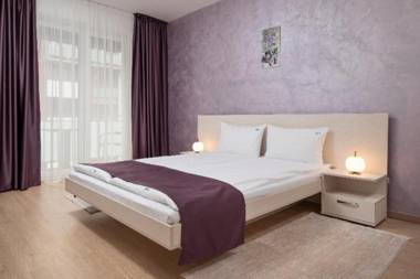 Brasov Holiday Apartments-PURPLE