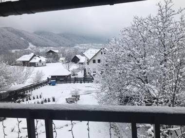 Pensiunea Cerbul Carpatin