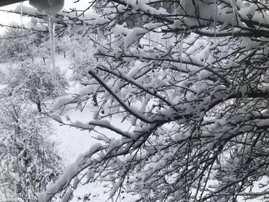 Pensiunea Cerbul Carpatin