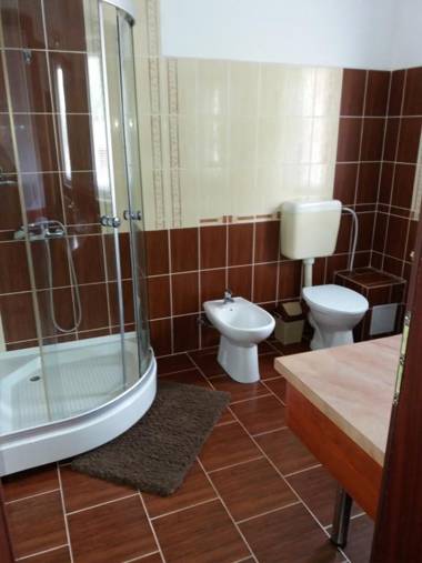 Pensiunea Transilvania Lodge