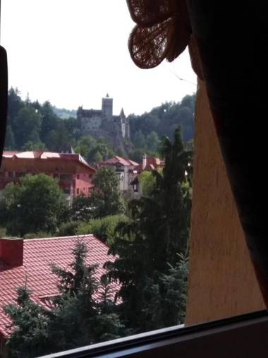 Pensiunea Transilvania Lodge