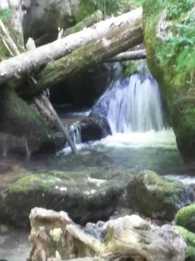 Pensiunea Piatra Graitoare