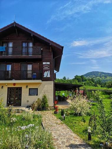 Pensiunea Dorel Codoban