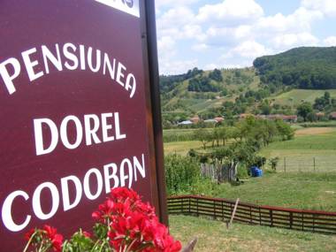 Pensiunea Dorel Codoban