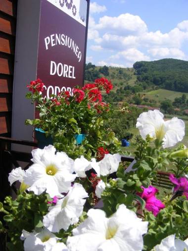 Pensiunea Dorel Codoban