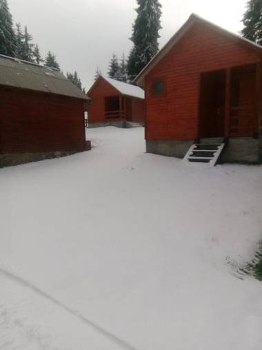 Popas Turistic Padis