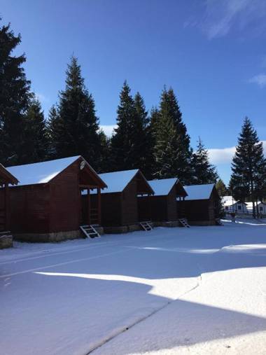 Popas Turistic Padis