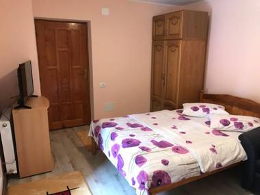 Vila Alpina Olănești