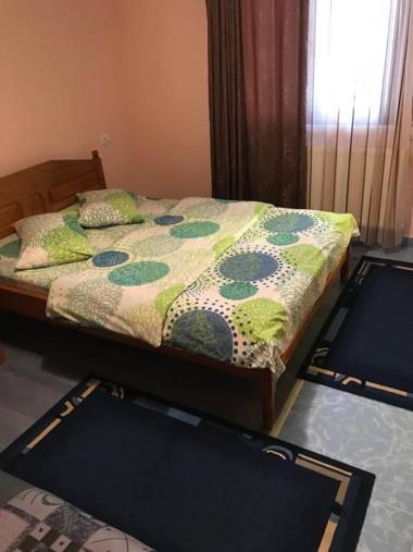 Vila Alpina Olănești