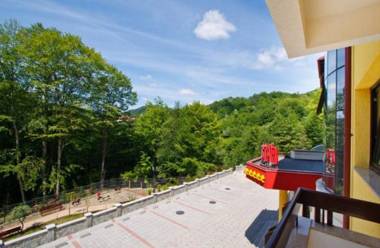 Pensiunea Iulia Star