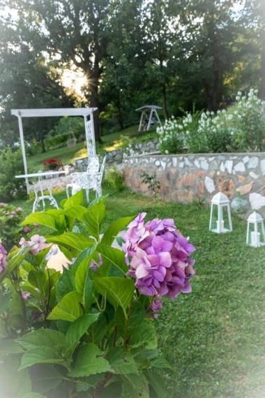 Pensiunea Casa Mircea & Restaurant