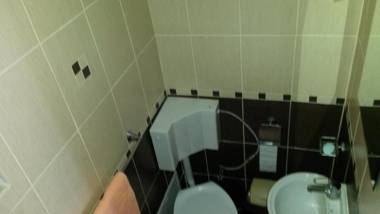 Pensiunea Adi Sapinta