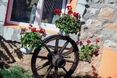 Relaxare in Sohodol Alba