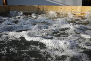 Pensiunea Maramures Guesthouse