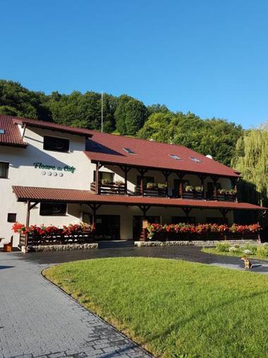 Pensiunea Floare De Colt