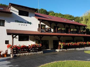 Pensiunea Floare De Colt